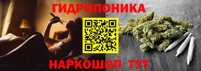 крисы Нарткала